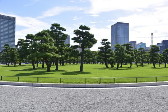 日本皇居外苑风光