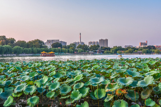 济南大明湖