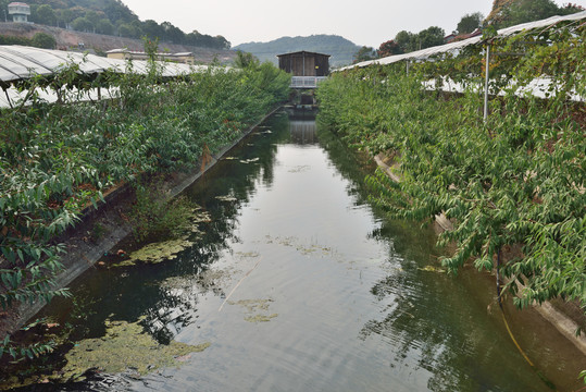 水沟