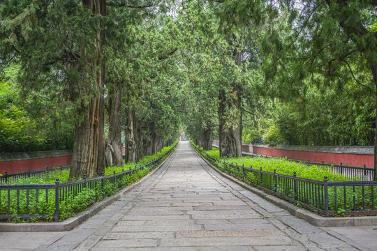 北京卧佛寺山门