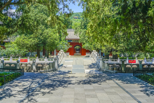 北京卧佛寺庭院