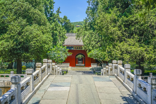 北京卧佛寺庭院