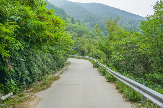 森林防火公路