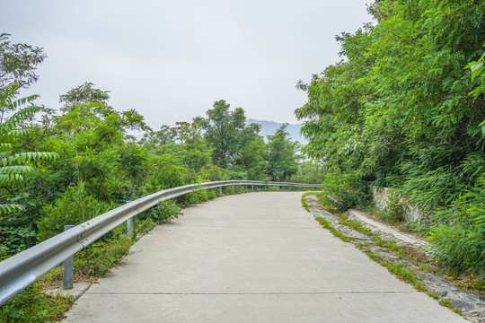 森林防火公路