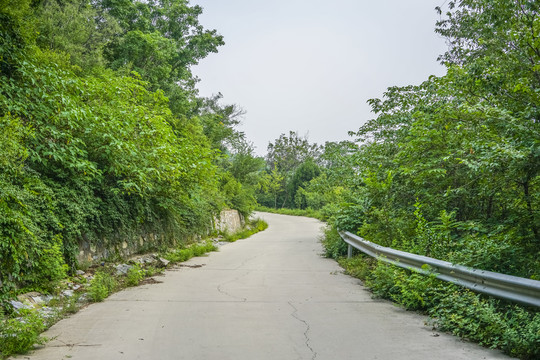 森林防火公路