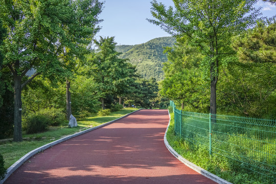 健身步道高清大图