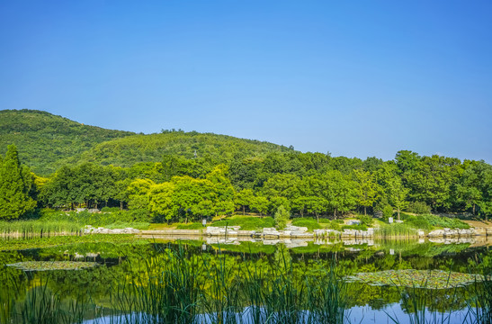 绿水青山高清大图