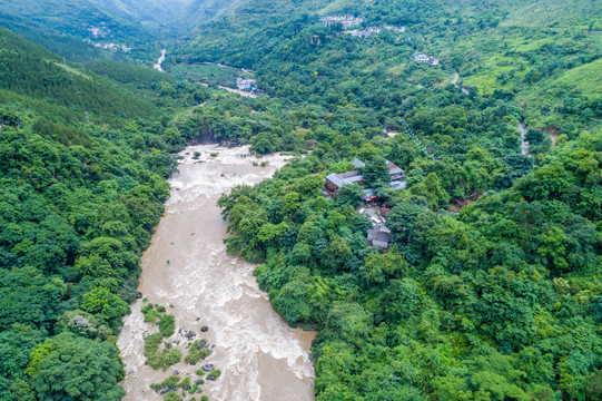 黄果树