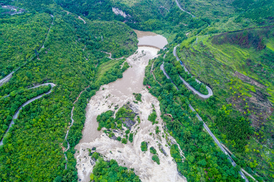 黄果树