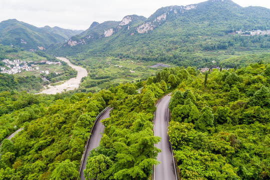 黄果树