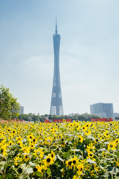 国际花卉艺术展