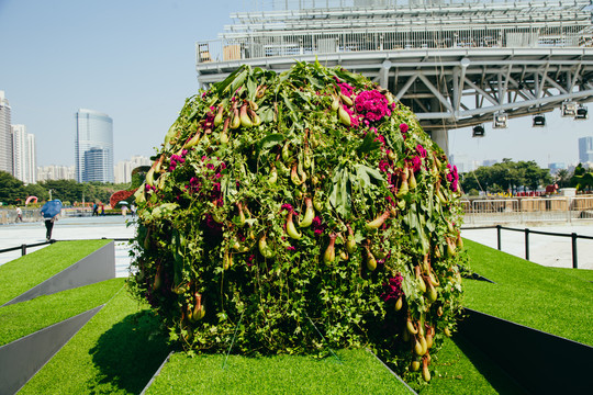 国际花卉艺术展