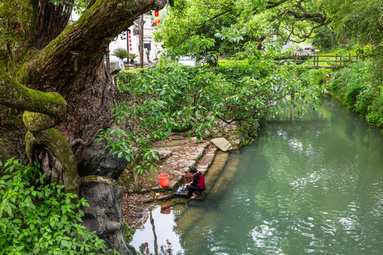 丽水古堰画乡