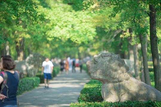 明孝陵石象路