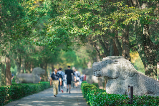 明孝陵石象路