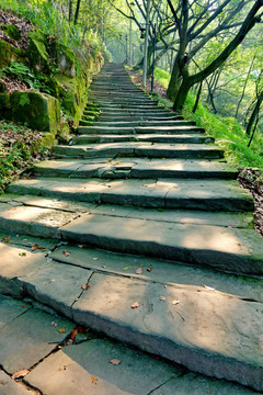 重庆南山黄葛古道