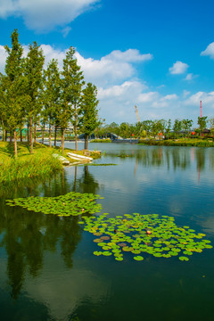 余杭东湖公园