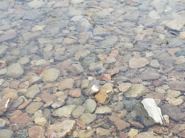 河底卵石