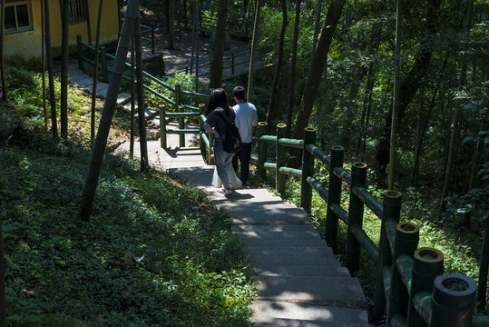 山里的道路