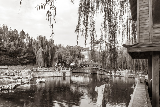济南护城河黑白照片