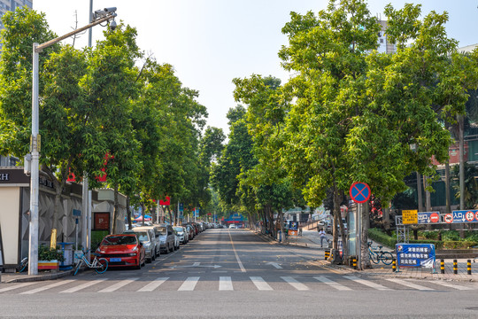 城市街道