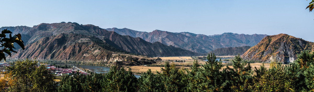 山谷稻田