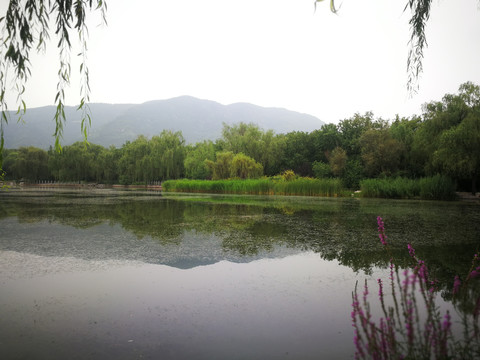 水天一色植物园