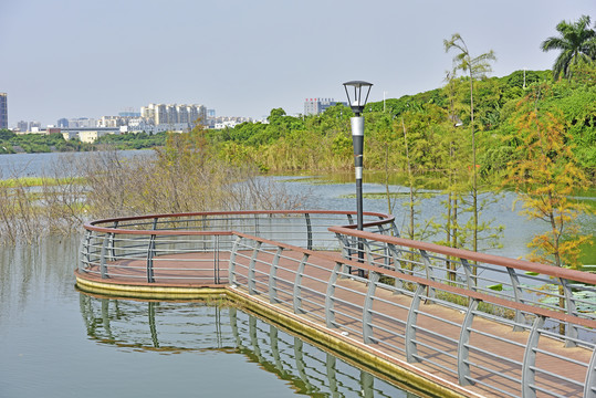 深圳立新湖公园