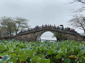 无锡鼋头渚石拱桥