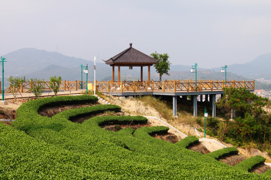 长龙畲山风情园