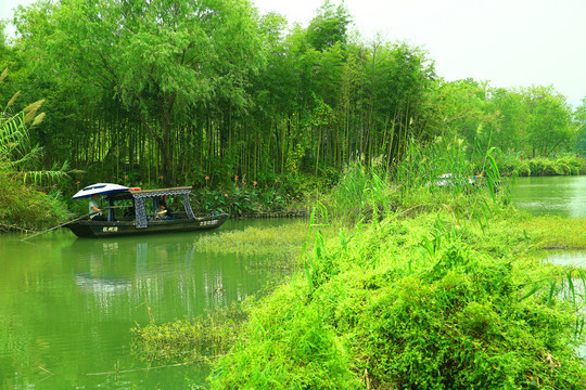 杭州西溪湿地