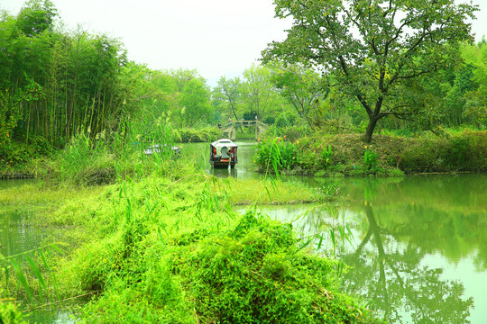 杭州西溪湿地