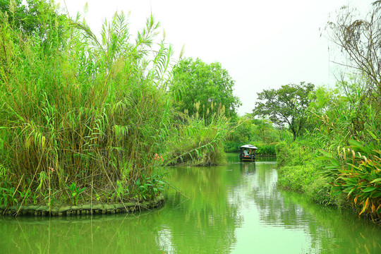 杭州西溪湿地