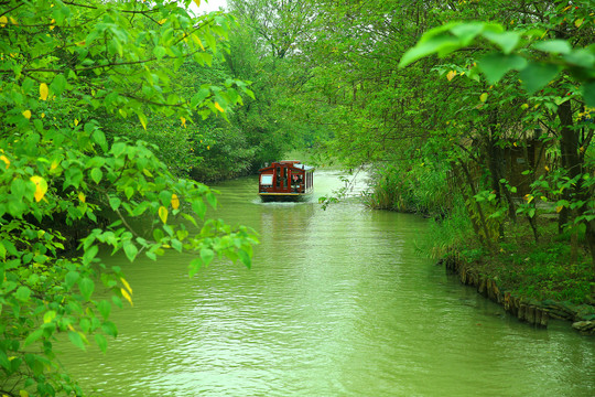 杭州西溪湿地