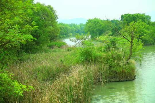 杭州西溪湿地