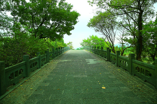 杭州西溪湿地