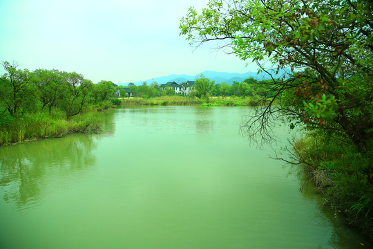 杭州西溪湿地