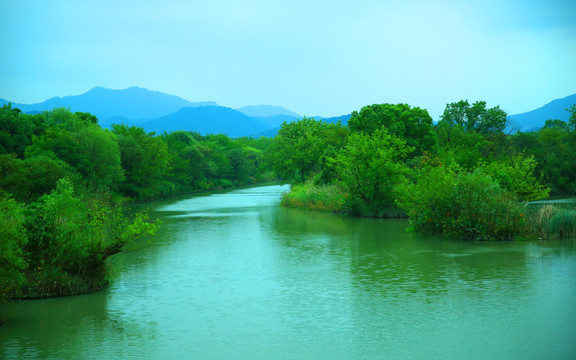 杭州西溪湿地