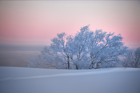 雪