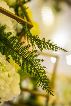 婚礼会场植物