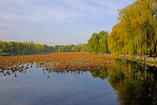 北京圓明園風光