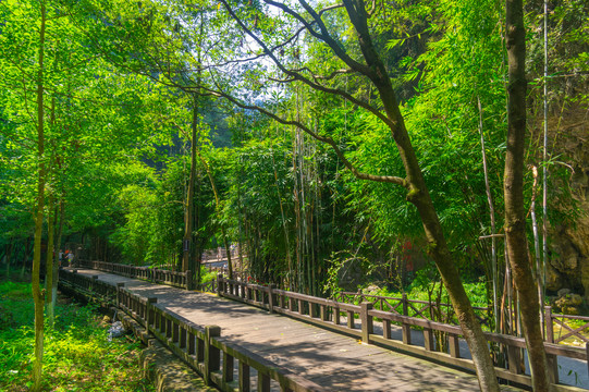 宜昌三峡大瀑布风景区夏日风光