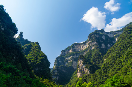 宜昌三峡竹海风景区夏日风光