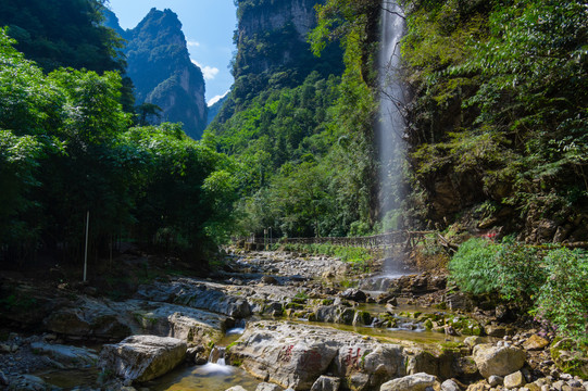 宜昌三峡竹海风景区夏日风光