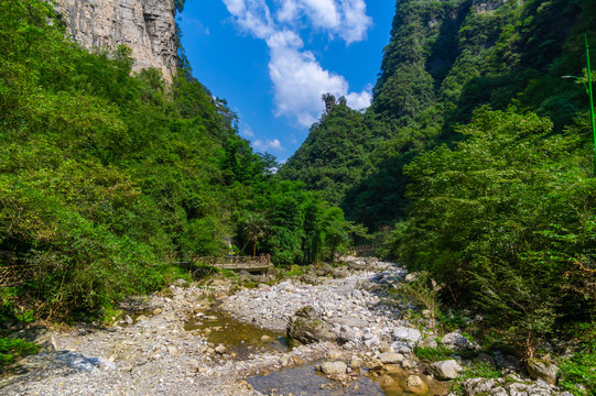 宜昌三峡竹海风景区夏日风光