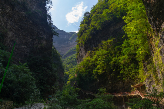 宜昌三峡竹海风景区夏日风光