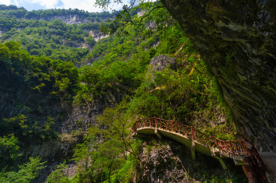 宜昌三峡竹海风景区夏日风光