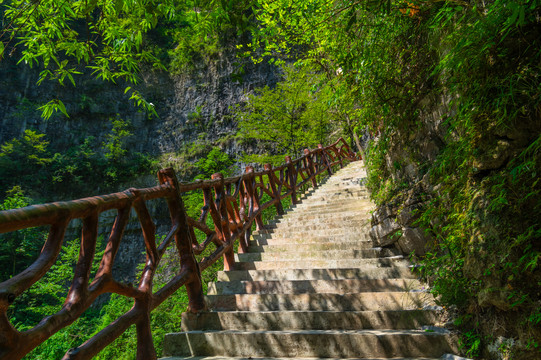 宜昌三峡竹海风景区夏日风光