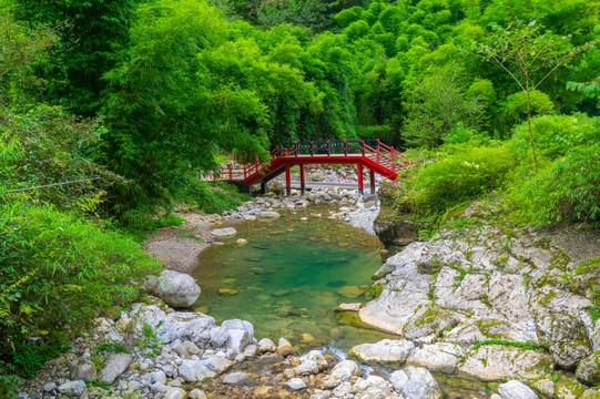 宜昌三峡竹海夏日迷人风光