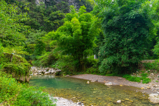 宜昌三峡竹海夏日迷人风光